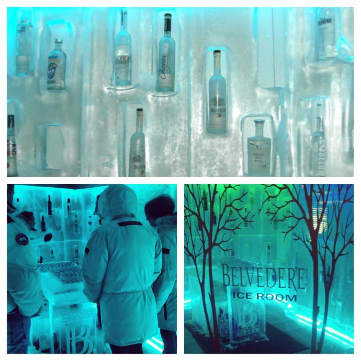 Whistler - Belvedere Ice Room